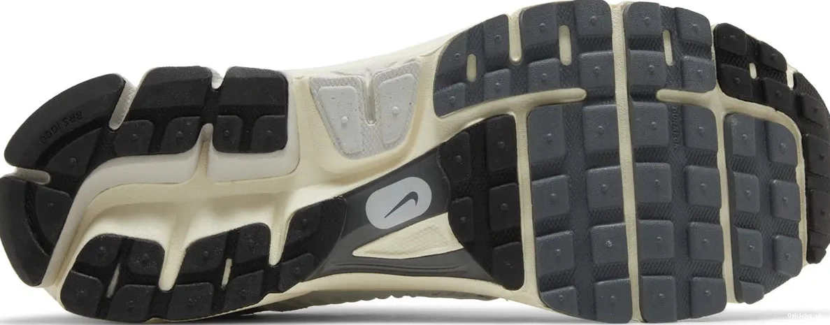 Platinum Zoom Tint Nike Vomero 5 0522